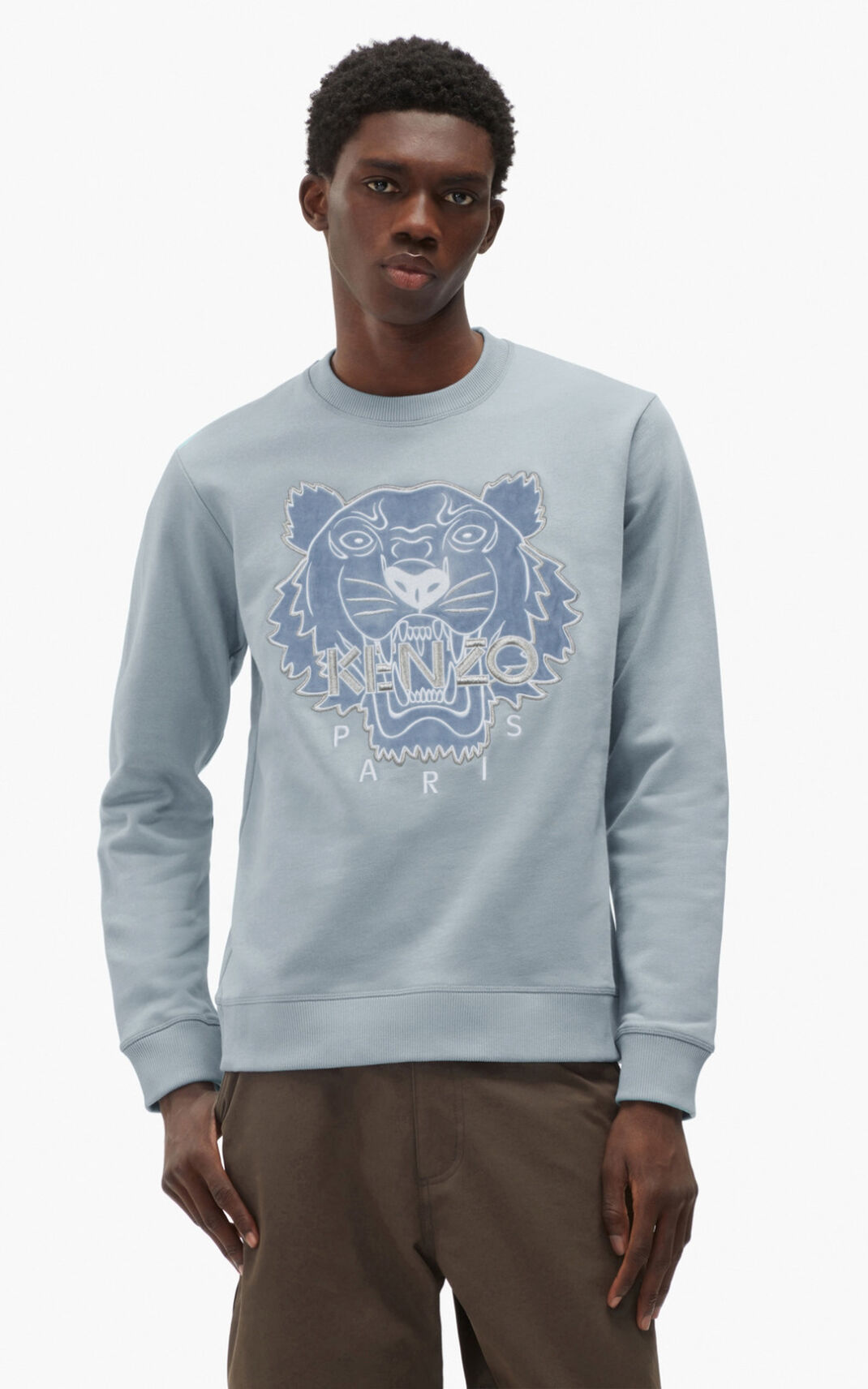 Kenzo The Kışlık Capsule Tiger Sweatshirt Erkek Gri | 4238-MFPWL